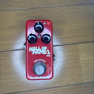 TC ELECTRONIC HALL OF FAME 2 MINI | TryOut